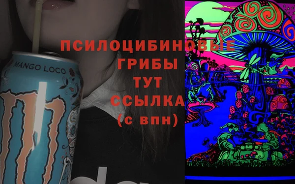 соль курить ск Бородино