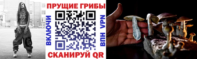 Галлюциногенные грибы Magic Shrooms  Гусиноозёрск 